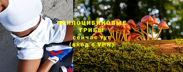 герыч Лиски