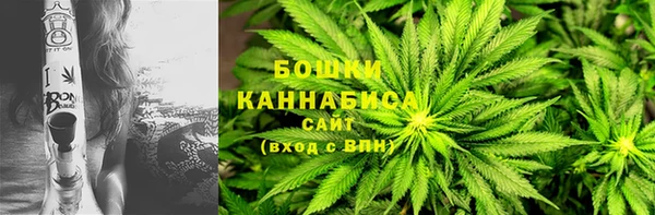 PSILOCYBIN Магас