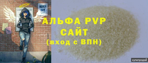 сатива Магадан