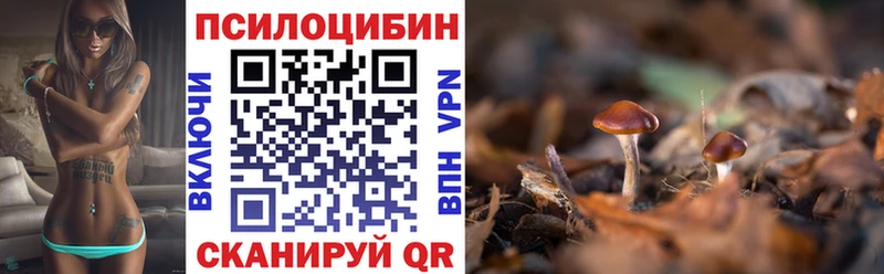 Галлюциногенные грибы ЛСД Сухой Лог