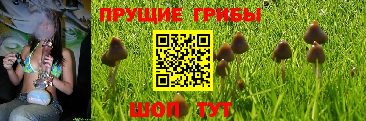 Псилоцибиновые грибы MAGIC MUSHROOMS Сухой Лог